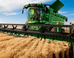 朱砂根的種植方法，選種、幼苗期管理、施肥、移栽、病蟲害防治